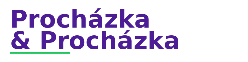 Procházka & Procházka logo